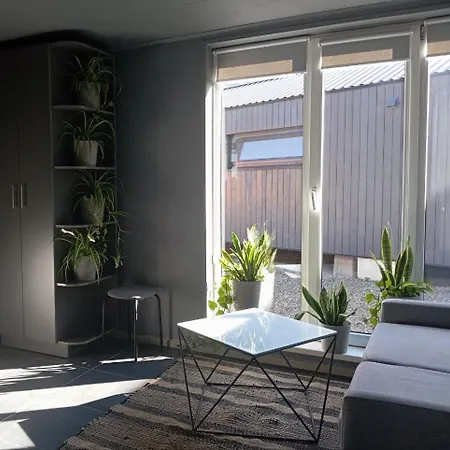 Grey House *